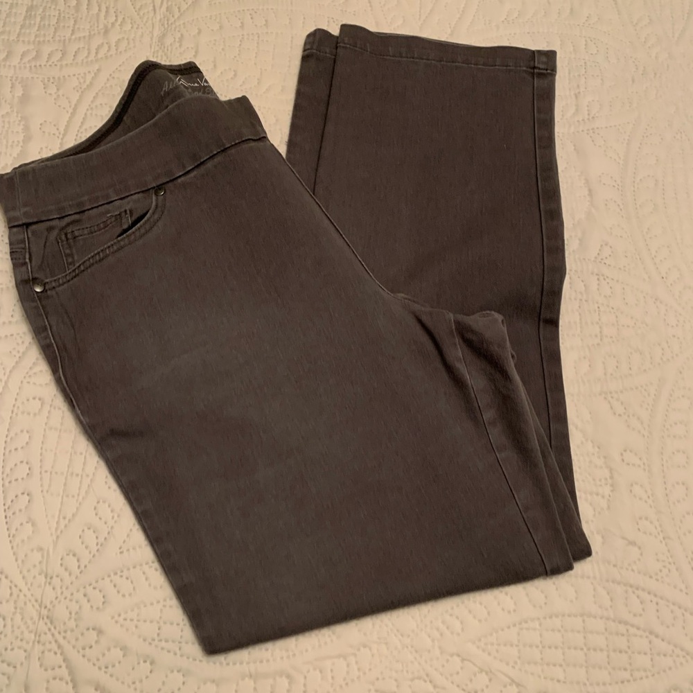 Gloria Vanderbilt All Around Slimming Effect Gray Pants Size 16